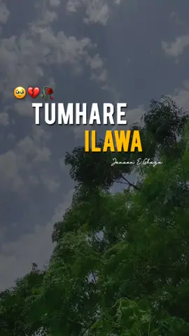 🥀✨ | Subscribe YouTube Link In Bio | #jaunelia #ahmadfaraz #parveenshakir #muneerniazi #poetry #urdupoetry #poetrystatus #saroor_e_elia #urduline #urdushayari #aesthetic #trending #viral #100k #foryoupage #foryou #fyp 