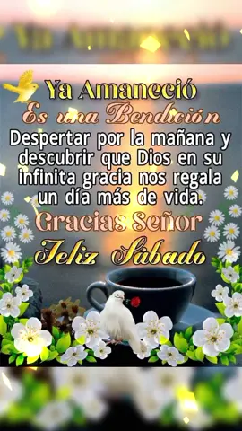 𝑭𝑬𝑳𝑰𝒁 𝑺𝑨𝑩𝑨𝑫𝑶 𝑨𝑴𝑰𝑮𝑶𝑺 💕 #buenosdias #felizsabado #clasicosporsiempre #baladasromanticas #musicadelayer 