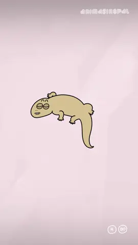 Cicak VS Bunglon #fyp #animasinopal