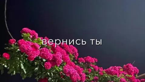 Телман /Она #саграй❤чи❤лезги❤халкь☝️❤#Лезгиманияр#сагърай🦅лезгияр🔥🔥🔥#лезгияр☝🦅💪 #Лезгинскиепесня#Лезгиманияр 