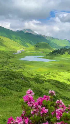 Greenery all around 💚 #austria #landscape #nature #green #mountains #countryside #views 