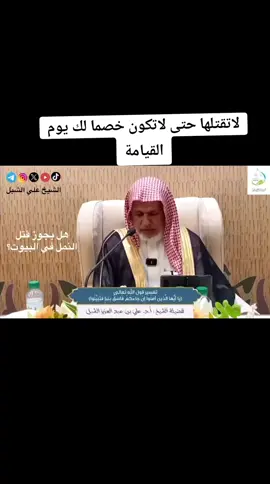 هل يجوز قتل النمل؟#مواعظ_دينيه_جميلة #مواعظ #مواعظ_مؤثرة #fypシ #foryo #keşfet #