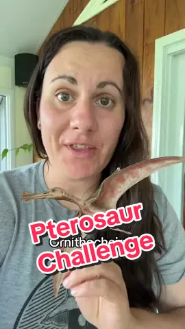 #stitch with @ForeverNPC I never back down from a challenge 😜…#paleontology #pterosaurs #name5things #challenge 