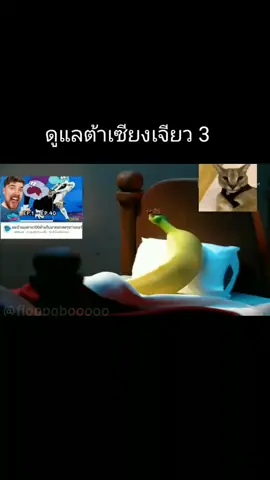 ชาวเดอร์ ดูแลต้าเซียงเจียว 3 #ชาวเดอร์ #exe #ฟีดดดシ 