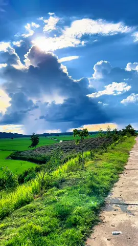 Thật sự hạnh phúc là gì