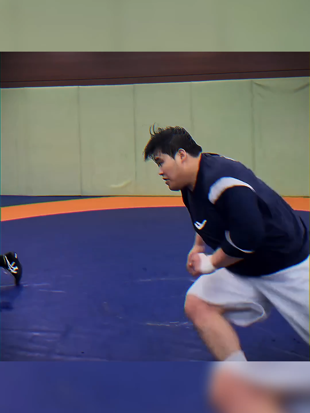 Wrestling Panda #wrestling #freestylewrestling #grecoroman #grecoromanwrestling #kungfupanda #uww #korea