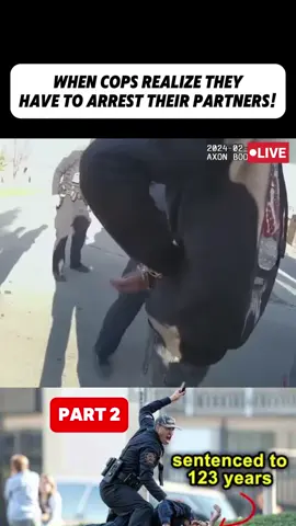 Part 2| When Cops Realize They Have To ARREST Their Partners!