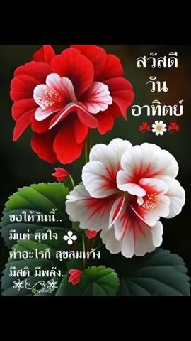 สวัสดีวันอาทิตย์เพื่อนๆที่รักอรวีสัจจานนท์าให้ความสุขพวกเรา.ในบทเพลง...น้องคิดถึงพี่..ขอให้คืนวันนี้เป็นคืนสุขสันต์หรรษานะครับฝันดีครับ