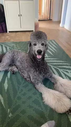 Just sent this to my boss