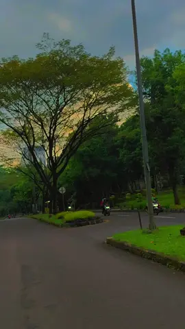 Sore Hari di Jalan Universitas Indonesia #universitasindonesia #ui #semogabahagia #fypシ゚viral 
