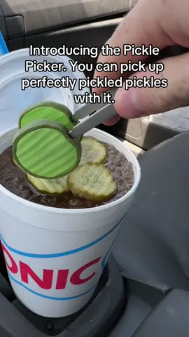 pickle problems require pickle solutions