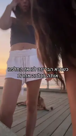 סוףסוף מישהי שמבינה אותנו  @Gilgul #foryoupage #fyp #כלבה#בעליחיים#רוןנשר#איילגולןהמלך #פוריו#viral #viraltiktok 