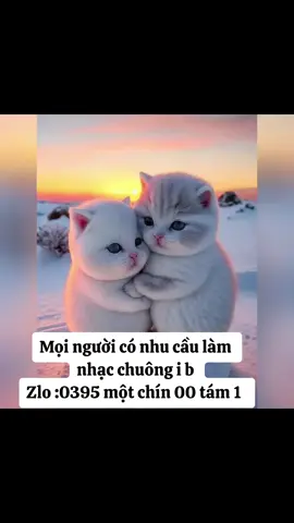 Nhạc theo yêu cầu tên Hải #hquangtuyn #nhacchuongdienthoai #nhactheoyeucau #ringtone #nhacchuongiphone #baothuc #hquangtuyen 