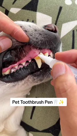 Pet Toothbrush Pen 🦷 #dogs #dogtoothbrush #dogteeth 