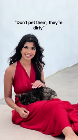 They deserve so much love 🥺 #strays #cats 