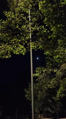 Arxa fon✨ #yar #salyan #moon 