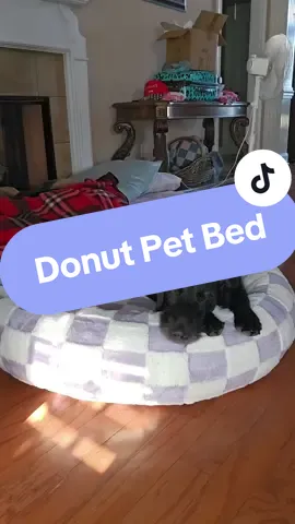My girls love their new Dog Bed!! #dogbed #englishbulldog #labmix #dogsoftiktok #PetsOfTikTok #furbaby #sleepingdog #tiktokmademebuyit 