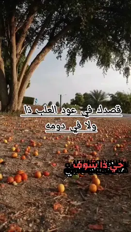 حي ذا شوف 