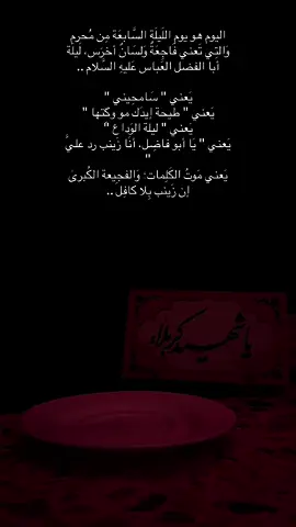 #عاشوراء_الحسين #ابا_الفضل_العباس #استشهاد_العباس #مولاي #امامي #ستوريات_محرم 