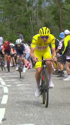 ⚡️💛 Pogi Power! @UAE Team Emirates  #TourDeFrance #TDF2024 #cycling #pogacar 