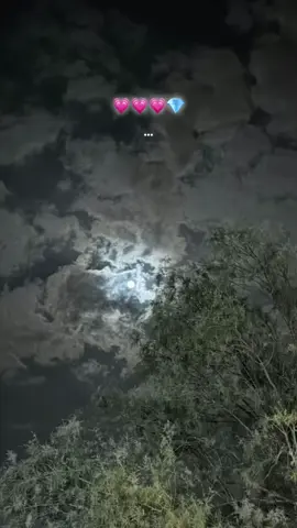 #foryou #fyp #explor💗🦋 