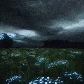 Emptiness  #real #sadcore #fyp #MentalHealth #slowcore #willix #cooked #edit #darkhour 
