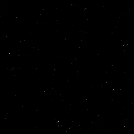 tiptoe thru the tulips |  a musica;☠️ a tradução; 🥰 #lyrics #traducao #musica #fy #fyp #foryou #scarrysongs 