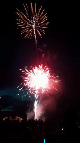 Vous avez briller ce soir mes anges 🥺🙏🏻🕊💐 @💣𝕷'𝕮𝖍𝖆𝖘𝖘𝖊𝖚𝖗💣 #14juillet #feudartifice #anges #pour #fyp 