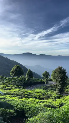 Pemandangan indah Di Kelok Seribu Gunung Sumbul Rancabali Ciwidey Kabupaten Bandung, Perbatasan Antara Cianjur Selatan dan Kabupaten Bandung #rancabali  #ciwidey #bandung #longervideos 