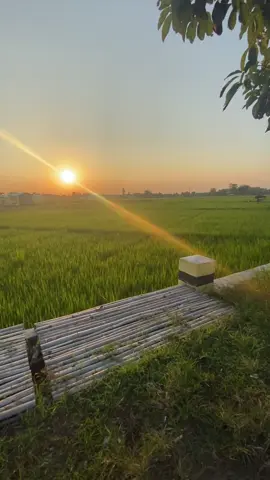Jogging + strava + sunrise + spotify = my therapy ❤️‍🩹🏃🏻‍♀️✨🍃🎧 #laripagi #jogging #stravarun #Running #fyp #sunrise #solorunner #selflove #healthylifestyle #povstories #aesthetics 