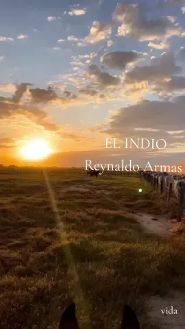 EL INDIO 🎼  REINALDO ARMAS #reynaldoarma #venezuela🇻🇪 #musicallanera #llano 
