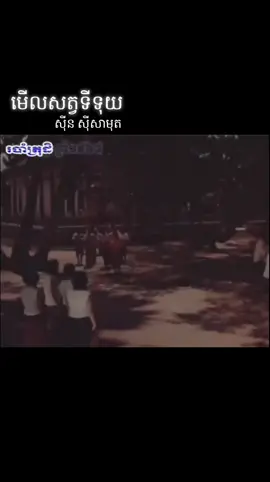 មើលសត្វទីទុយ sinnsisamouth