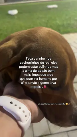 ❤️❤️🥹🥹.                  #cachorro #cachorroderua #aua #carinho #fy #dogs #cachorrinhosfofinhos #rua 