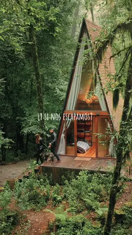 Etiqueta a esa persona con la que te quieres escapar a esta cabaña en Valle de Bravo 🏕️ #cabañas #glamping #conocemexico #naturaleza 