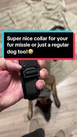 #dogcollar #tacticalcollar #dog #puppy #workingdog @k9chaos 