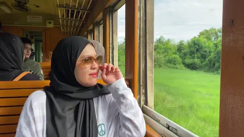 Train to Hatyai 🚂🇹🇭 #travel #hatyai #nature 