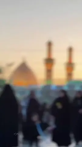 #فأستجبنا_له_ونجيناه_من_الغم_ #viral #viralvideo #viraltiktok #fyp#foryou#حب #عبارات #ستوريات #shiacouple#onedayinshallah#karbala #الشعب_الصيني_ماله_حل😂😂 #مالي_خلق_احط_هاشتاقات #explore #china#couple #imamhussain #najf #india 