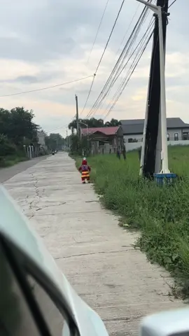 Mini jollibee