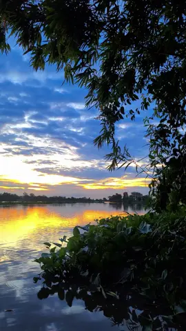 Nay bến sông con đò Em gửi Anh #songnuocmientay #menhmongvamcodong #62longan #nhachaymoingay #hoanghon 