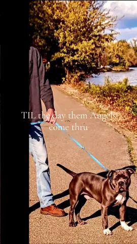 #creatorsearchinsights #1realpersonisenough #onerralpersonisenough #justlikejohnny #myoneandonly #myone #lucky #loved #myworld #roadto10k #teamworkmakesthedreamwork #growth #roadto5k #pittiesoftiktok #dogsoftiktok #myboo #myforever #fyp #fypage #teamwork 