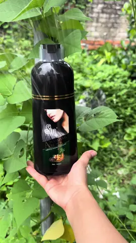 Dầu gội phủ bạc sinhair Nhật bản tìm lại mái tóc đen thuở thanh xuân! Quà tặng cho ông bà cha mẹ haynhững bạn bạc tóc sớm. #daugoiphubac #sinhair #tiktokshopviet #xuhuong2024 #maitocden 