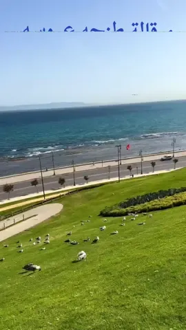 #مرقالة_طنجه_عروسه_الشمال🌹 #متعة_بصرية_لجمال_المغرب #مناظر_طبيعية_رائعة🍁🍃🥀🌱🍁💞🍂 #tanger_city #maroc🇲🇦🇲🇦 #tanger_city