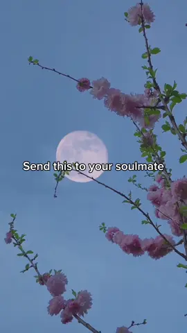 Send this to your soulmate .. #aligatie #viral #lovesong #fyp #fypシ 