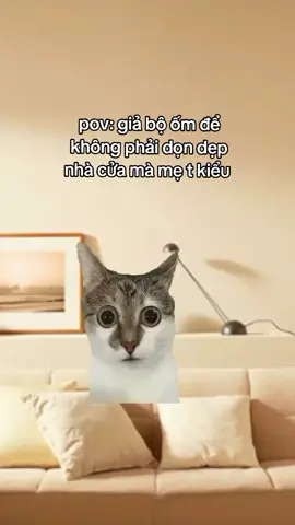 quá mệt mỏi #meme #fpy #xuhuong #haihuoc #giaitri #xuhuongtiktok #meow 