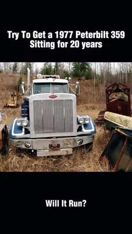 Will It Run 1977 Peterbilt 359 Sitting20 years?!#recovery #engine #willitrun #restoration #old #truck #tractor #repair #fyp #tiktok 