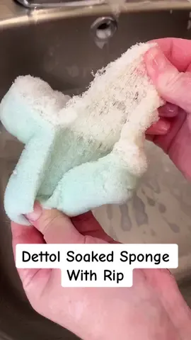 Dettol soakes sponge with rip!! Dettol destroyed this 😂😭 ##CleanTok #spongesqueezing #fyp #dettol #soakedsponge #cleanqueen95 #asmrcleaning #spongesqueezingasmr #foryou #spongeripping #spongeasmr #spongetok #sudsy 