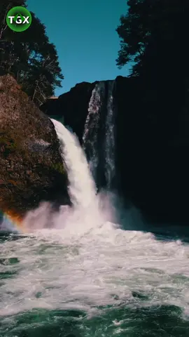 🌊 Nước Chảy Từ Thác Nước 🌊  🌟 Chào mừng bạn đến với kênh TikTok Thế Giới Xanh, nơi chúng tôi khám phá và bảo vệ vẻ đẹp của thiên nhiên hoang dã!  📽️ Trong video này, chúng ta sẽ cùng nhau chiêm ngưỡng cảnh tượng hùng vĩ của nước chảy từ thác nước. Hãy cùng tận hưởng khoảnh khắc này và cảm nhận sự kỳ diệu của thiên nhiên qua từng khung hình.  💧 Cận cảnh nước chảy từ thác nước: Những cảnh quay cận cảnh cho thấy dòng nước mạnh mẽ đổ xuống từ thác, tạo ra những bọt nước trắng xóa. Hình ảnh dòng nước chảy xiết và âm thanh ào ạt của thác nước sẽ đem lại cho bạn cảm giác thư giãn và thanh bình.  🏞️ Khám phá phong cảnh thiên nhiên: Video sẽ đưa bạn đến với những cảnh quan tuyệt đẹp xung quanh thác nước, từ những tảng đá lớn đến những cây cỏ xanh mướt. Hiểu rõ hơn về môi trường sống xung quanh thác nước và sự đa dạng của hệ sinh thái tại đây.  🌍 Trải nghiệm vẻ đẹp của thiên nhiên: Khám phá sự kỳ diệu và phong phú của thiên nhiên qua những cảnh quay về thác nước. Video sẽ giúp bạn cảm nhận rõ hơn về vẻ đẹp và sự hùng vĩ của thiên nhiên từ một góc nhìn mới lạ.  🔍 Bảo vệ và bảo tồn thiên nhiên: Video này cũng sẽ đề cập đến tầm quan trọng của việc bảo vệ các cảnh quan thiên nhiên và môi trường sống của chúng. Tìm hiểu về những nỗ lực bảo vệ môi trường và cách bạn có thể góp phần vào việc giữ gìn vẻ đẹp tự nhiên của các thác nước và cảnh quan xung quanh.  🌟 Đừng quên like, chia sẻ và đăng ký kênh Thế Giới Xanh để không bỏ lỡ bất kỳ video nào về thế giới động vật và những kỳ quan thiên nhiên khác!  #ThácNước #NướcChảy #ThiênNhiên #ThếGiớiXanh #KhámPháThiênNhiên #BảoVệThiênNhiên #VẻĐẹpTựNhiên #CảnhQuanThiênNhiên #ThiênNhiênHoangDã #ThácNướcHùngVĩ