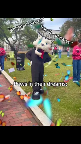 your favorite mascot’s favorite mascot #edit #capcut #viral #fyp #northeastern #northeasternuniversity 
