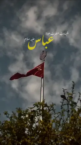 Mola Ghazi Alamdar Abbas As 🙌😭 #ForyouPage #Trending #MolaAbbas #Alamdaar #Goviral #Poetry #WhatsappStatus #1millonaudition #NotYourYaas #Yaas_Writes 