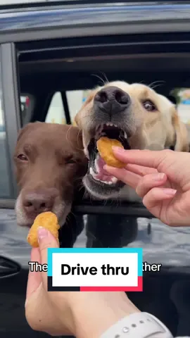 Now I need to clean drool off my car 😂🍟